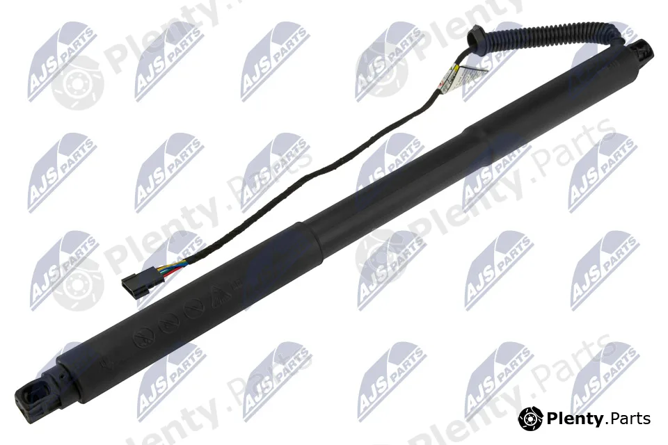 NTY AE-BM-113 — Gas Spring, boot/cargo area