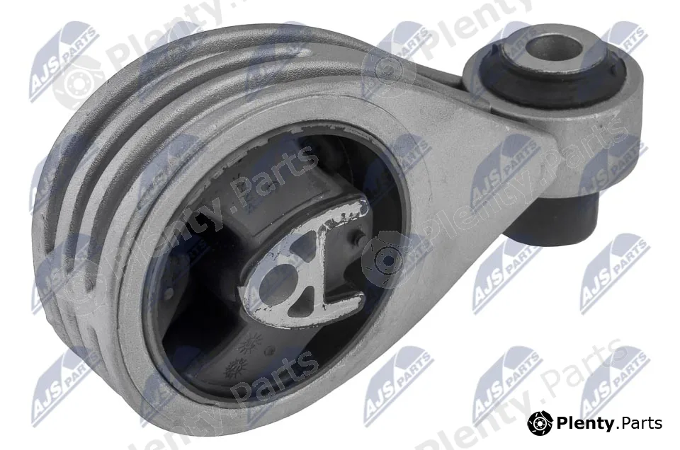 NTY ZPS-NS-193 — Mounting, engine