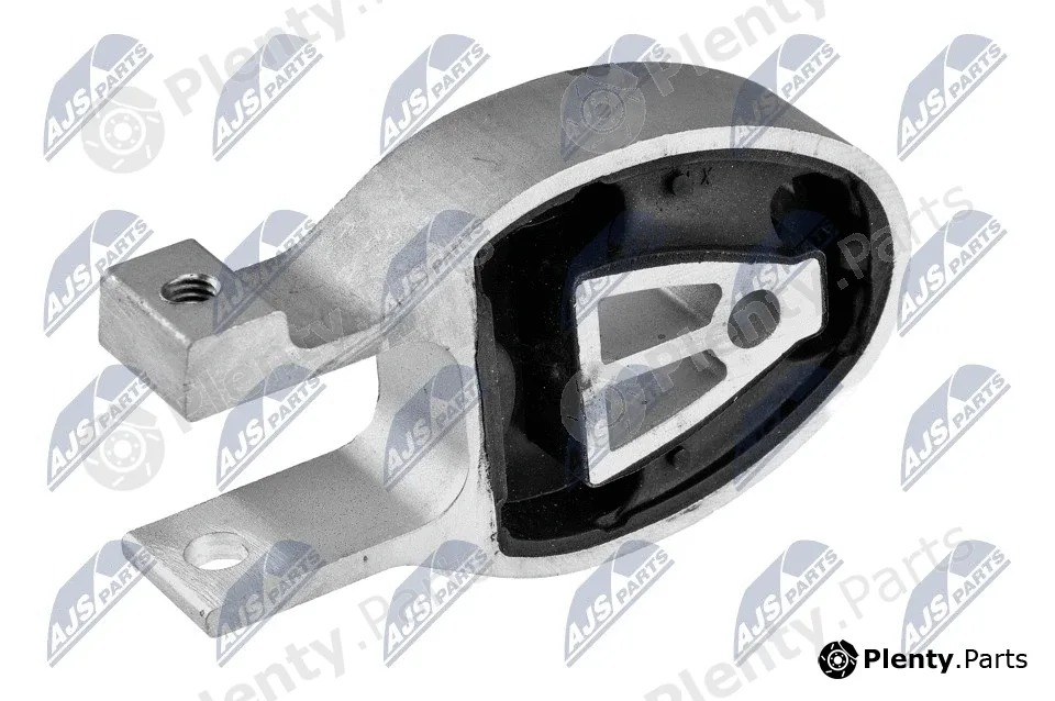 NTY ZPS-FR-010 — Mounting, engine