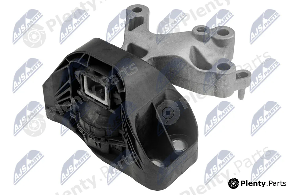 NTY ZPS-RE-119 — Mounting, engine