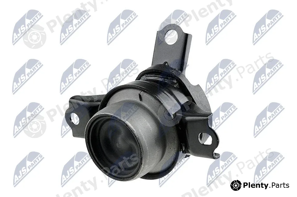 NTY ZPS-DA-001 — Mounting, engine