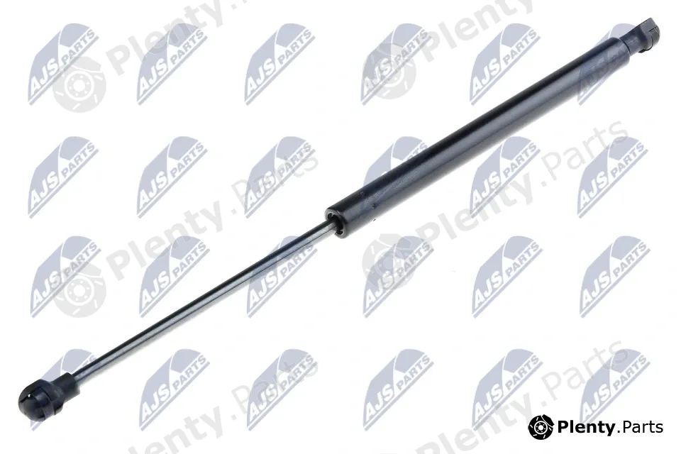 NTY AE-FT-021 — Gas Spring, boot/cargo area