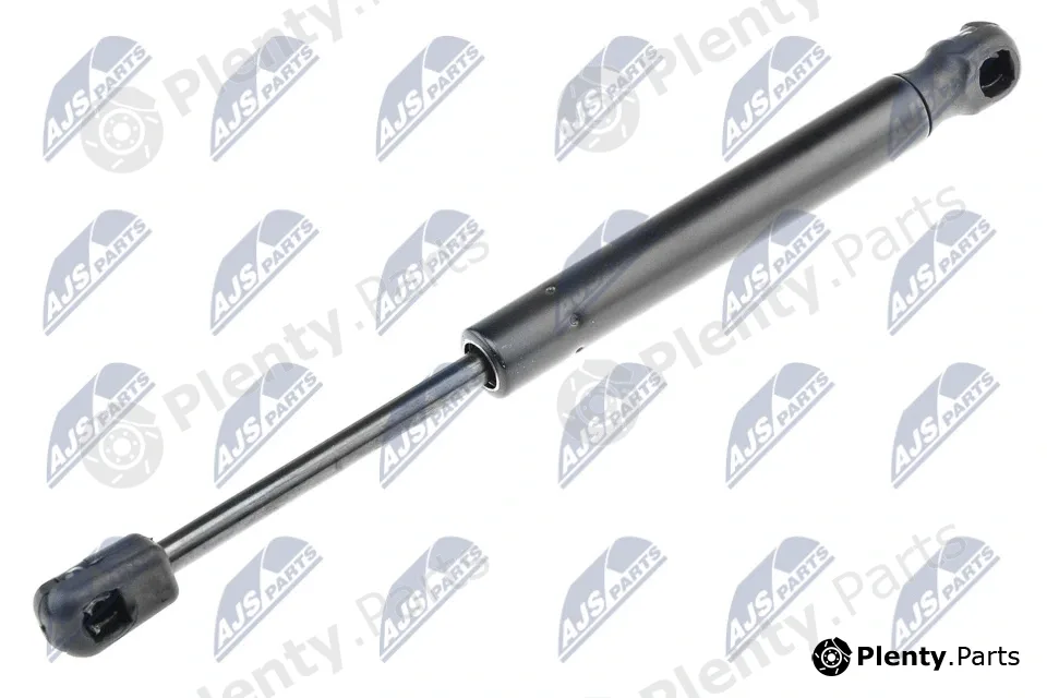 NTY AE-MZ-008 — Gas Spring, boot/cargo area