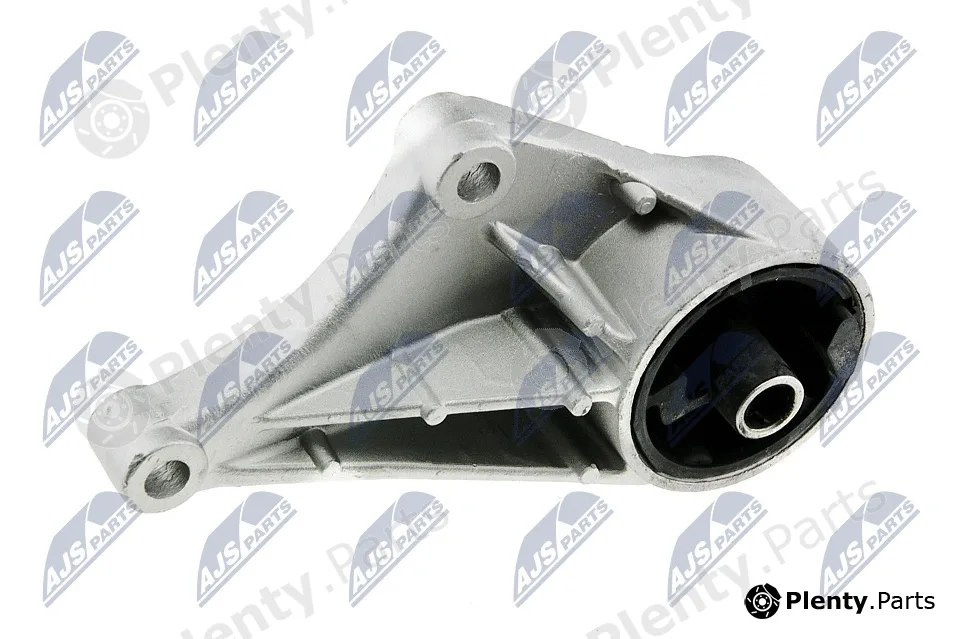 NTY ZPS-PL-013 — Mounting, engine