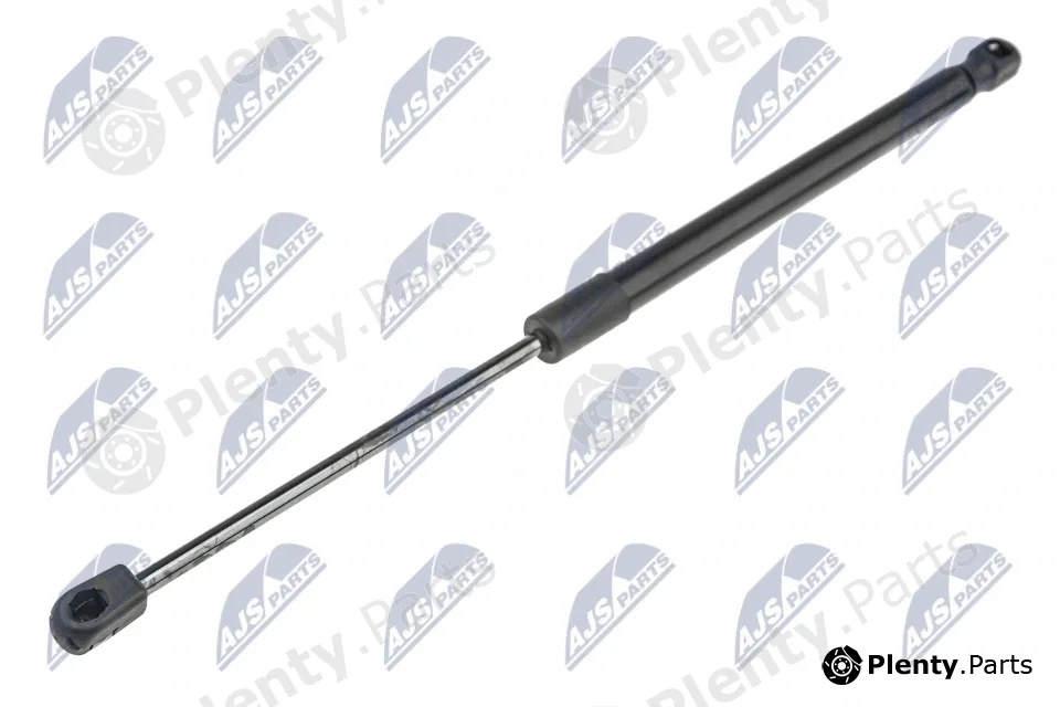 NTY AE-BM-067 — Gas Spring, boot/cargo area