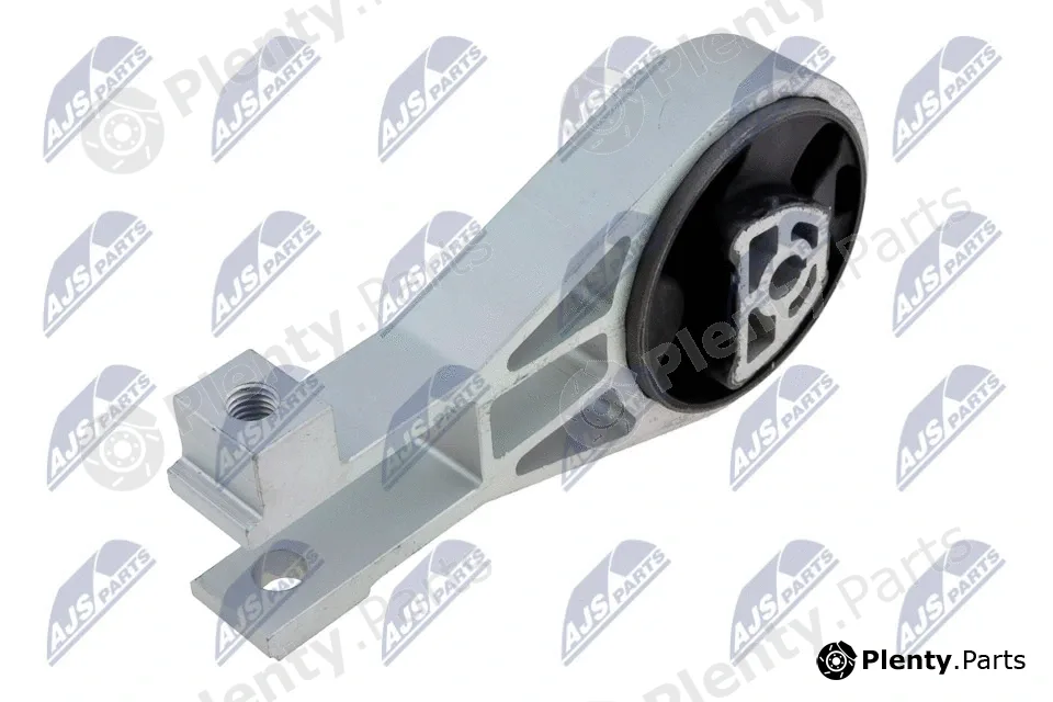 NTY ZPS-PL-002 — Mounting, engine