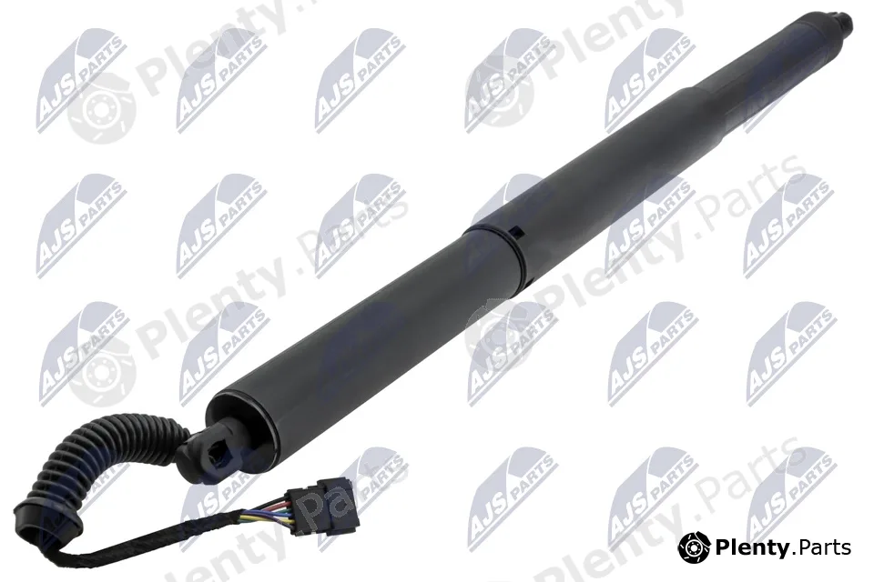 NTY AE-BM-119 — Gas Spring, boot/cargo area