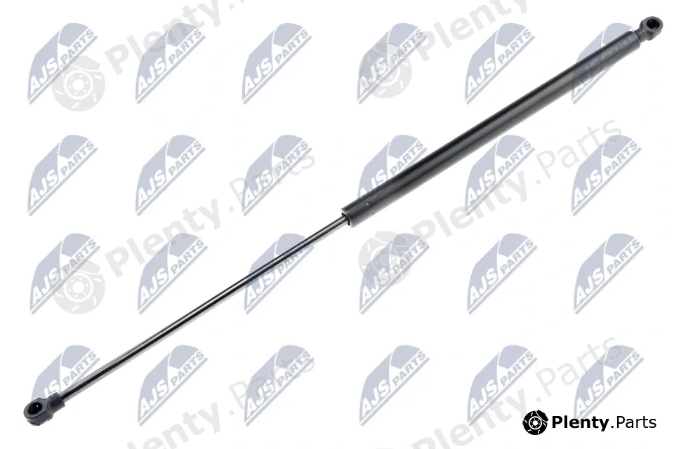 NTY AE-DW-002 — Gas Spring, boot/cargo area