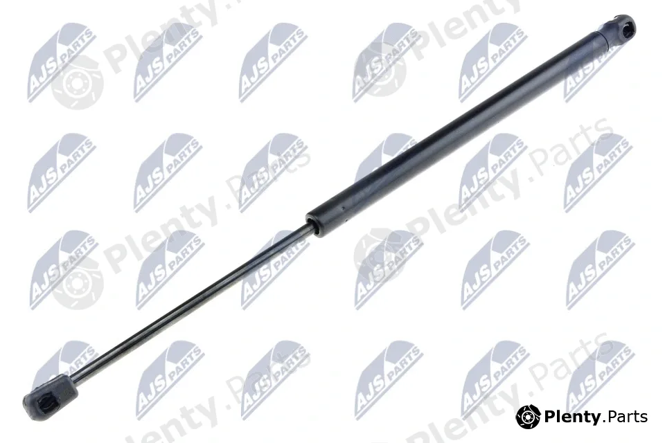 NTY AE-PL-007 — Gas Spring, boot/cargo area