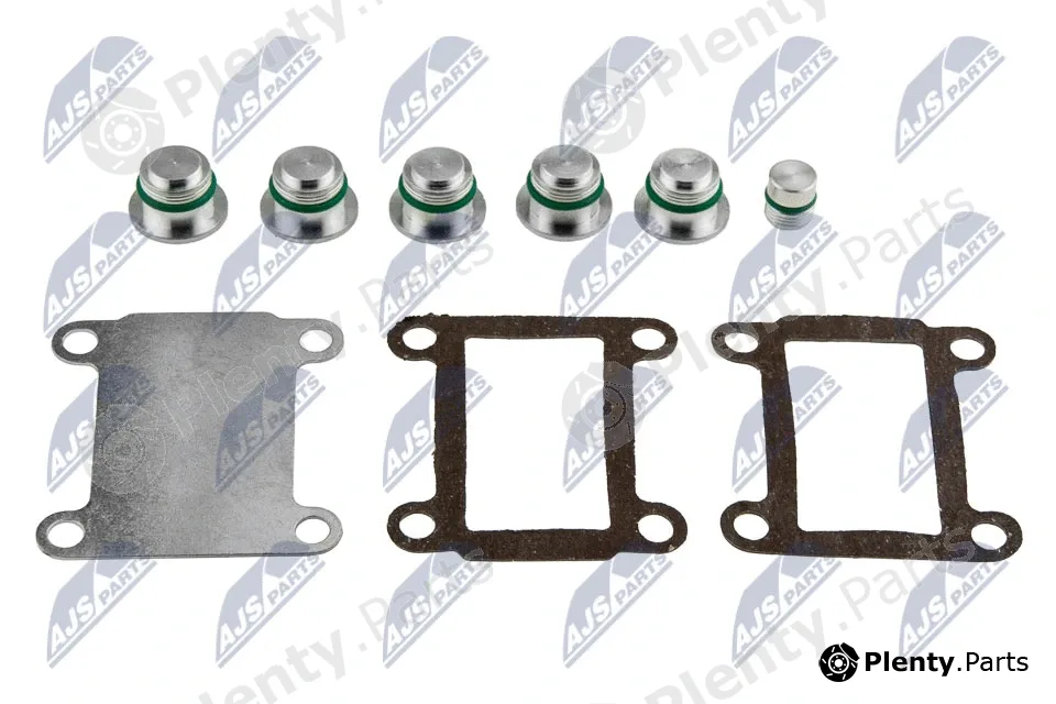 NTY BKS-FT-005A — Intake Manifold Module
