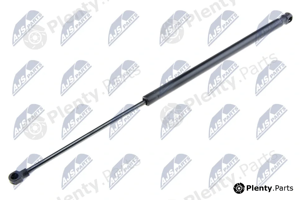 NTY AE-RV-003 — Gas Spring, boot/cargo area