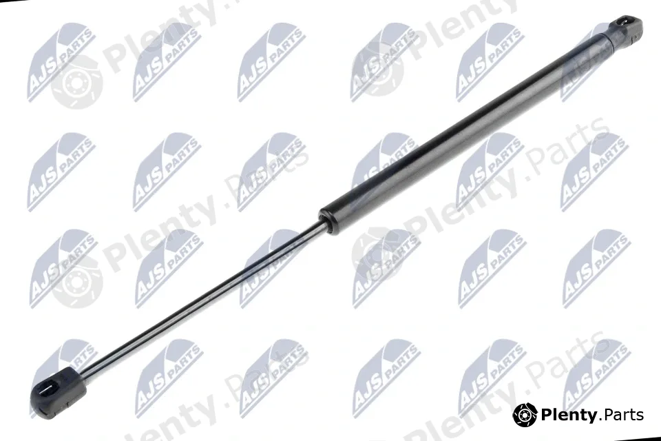 NTY AE-CT-014 — Gas Spring, boot/cargo area