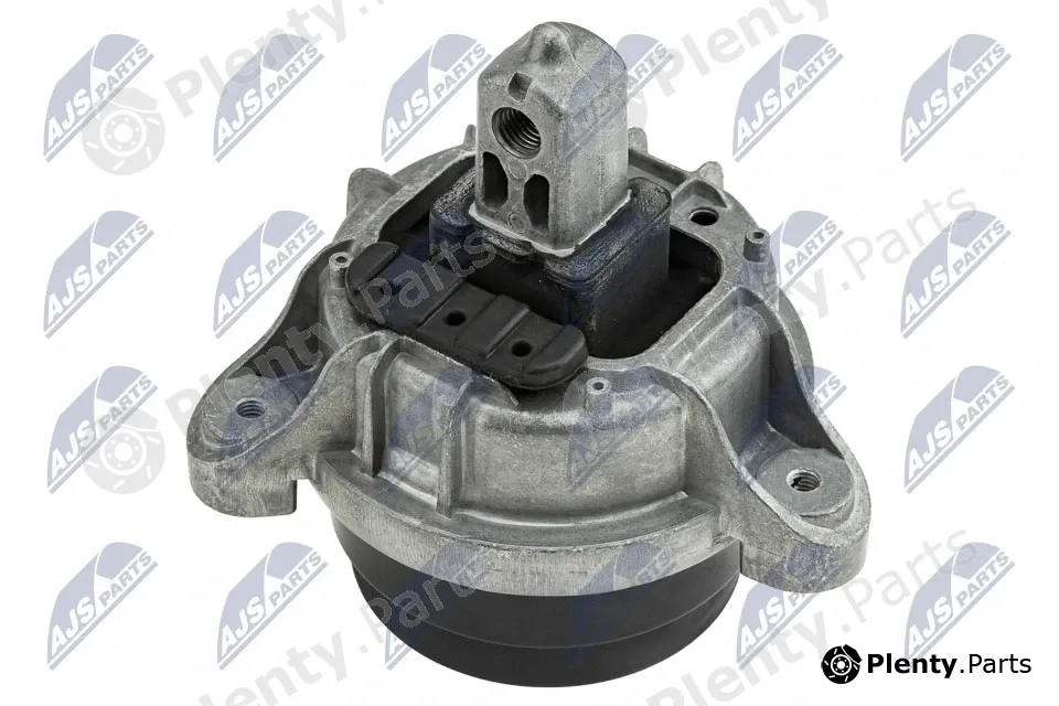 NTY ZPS-BM-005 — Mounting, engine