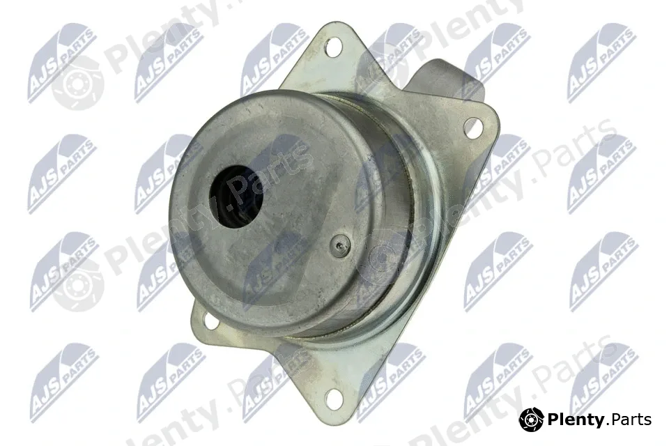 NTY ZPS-PL-049 — Mounting, engine