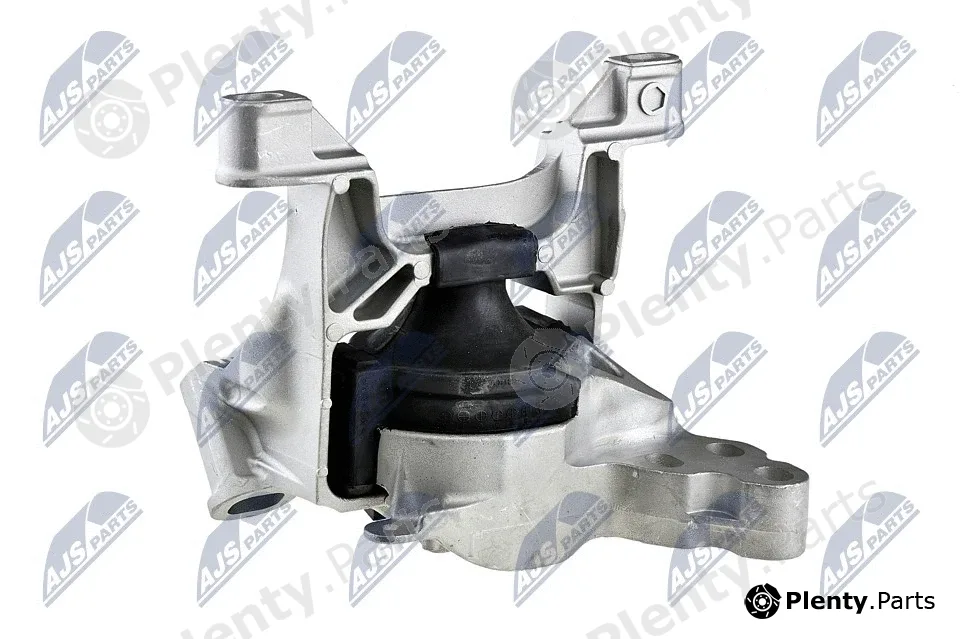 NTY ZPS-MZ-067 — Mounting, engine