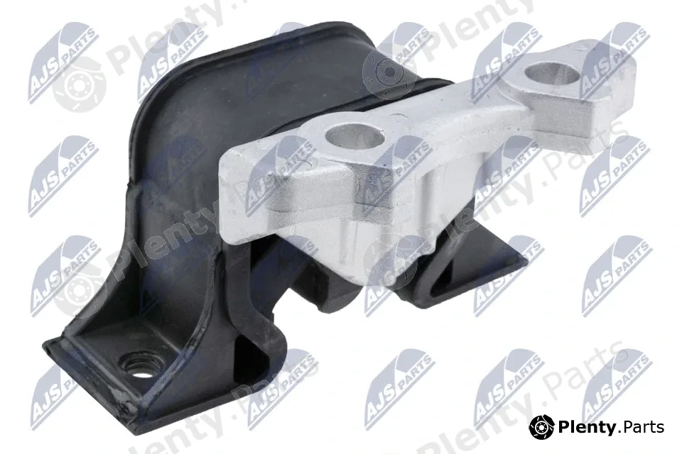 NTY ZPS-PL-019 — Mounting, engine