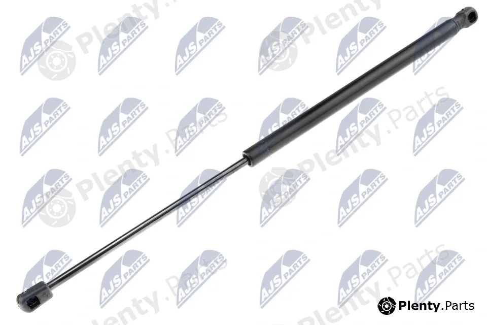 NTY AE-RE-000 — Gas Spring, boot/cargo area