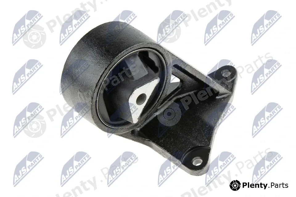 NTY ZPS-CH-005 — Mounting, engine
