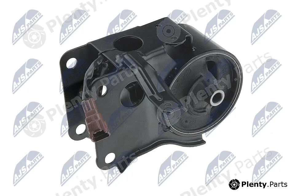 NTY ZPS-NS-054 — Mounting, engine