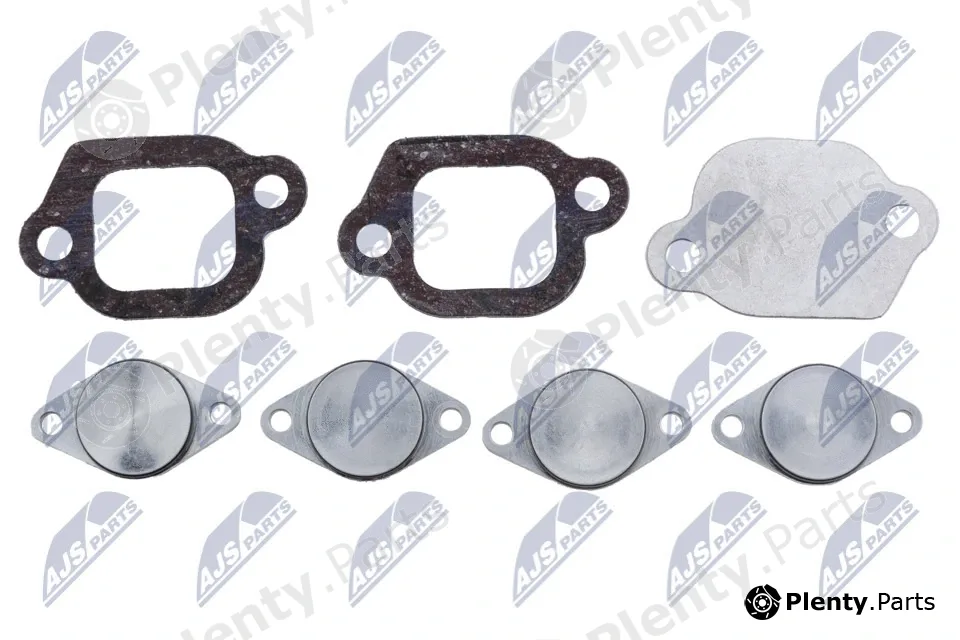 NTY BKS-PL-006A — Repair Kit, intake manifold module