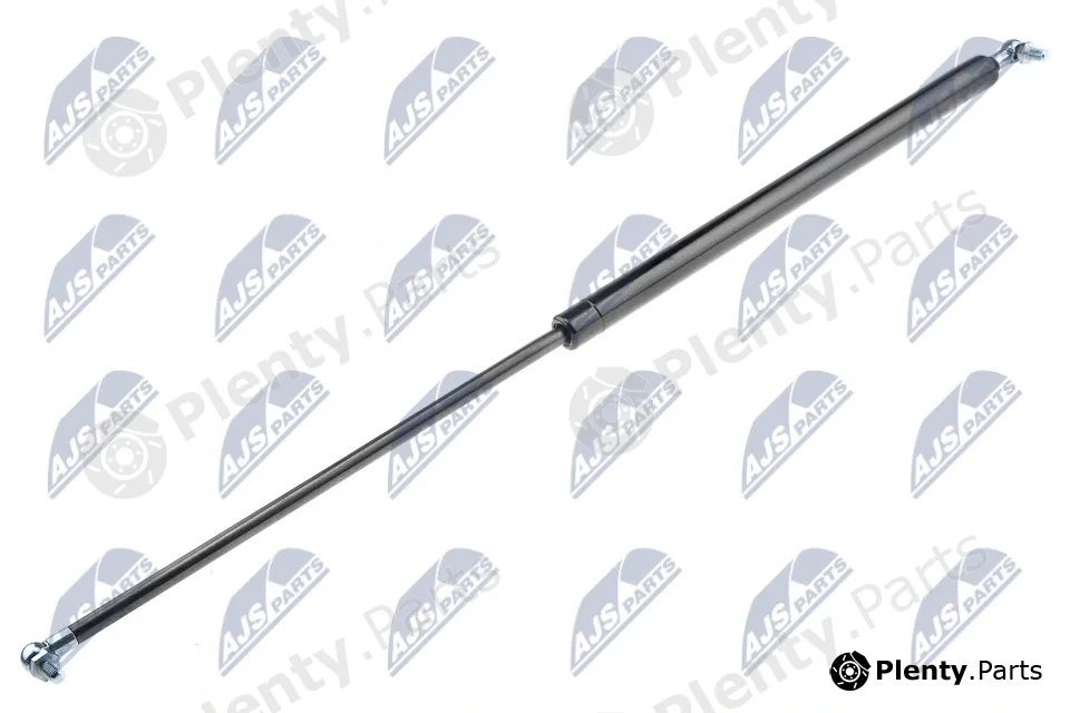 NTY AE-CH-028 — Gas Spring, boot/cargo area