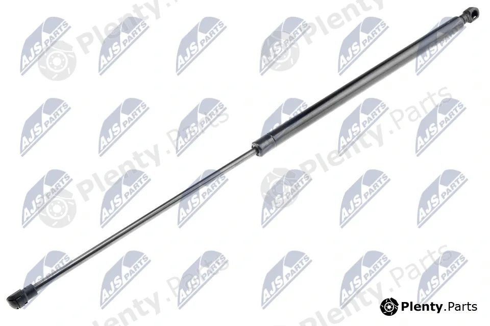 NTY AE-DW-007 — Gas Spring, boot/cargo area