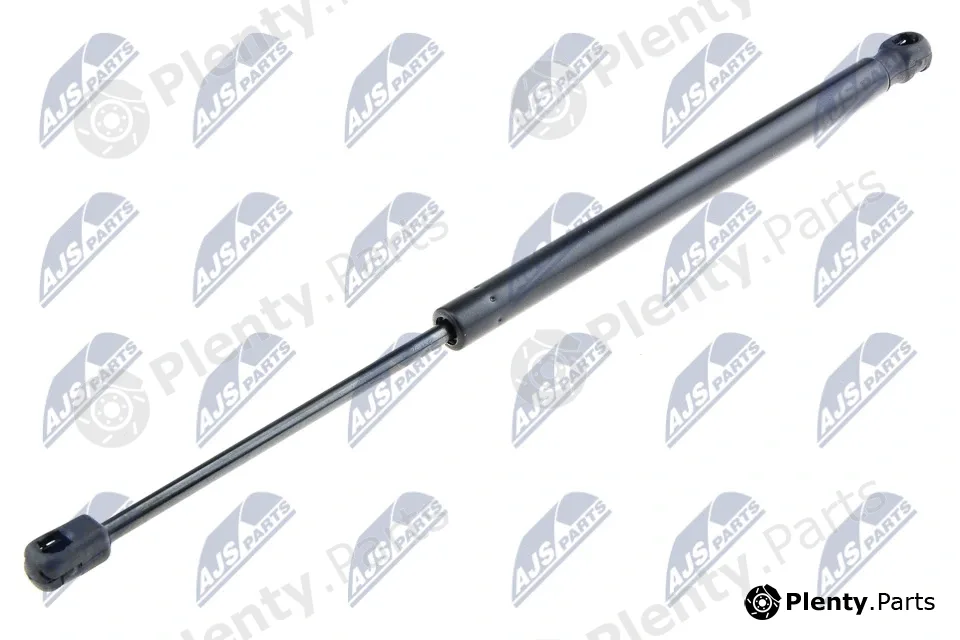 NTY AE-FT-028 — Gas Spring, boot/cargo area