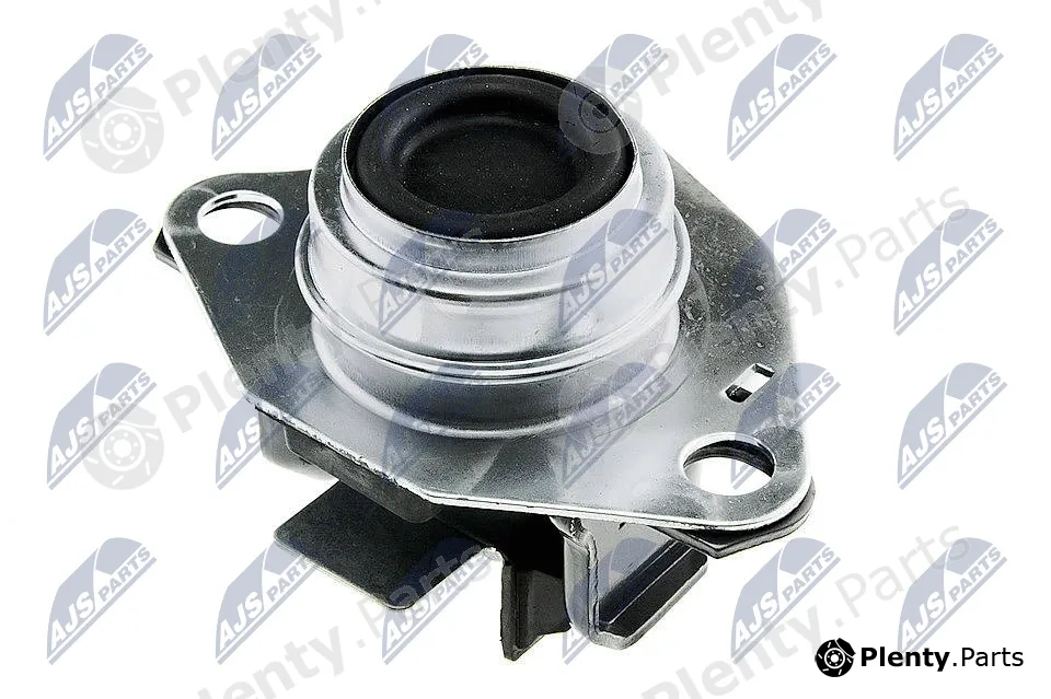 NTY ZPS-RE-038 — Mounting, engine