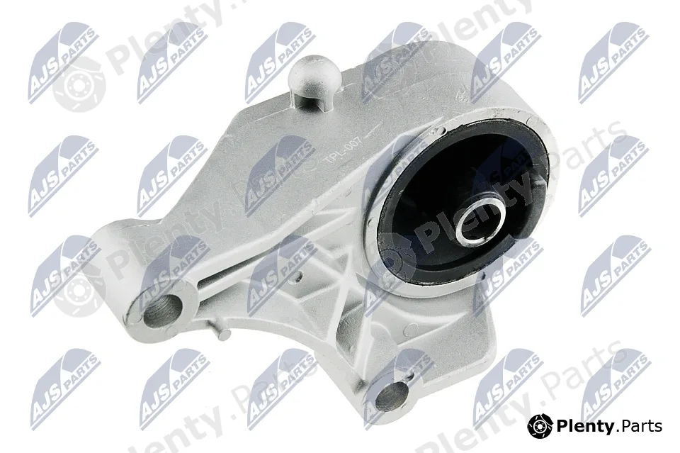 NTY ZPS-PL-007 — Mounting, engine