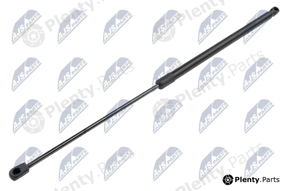 NTY AE-CT-047 — Gas Spring, boot/cargo area