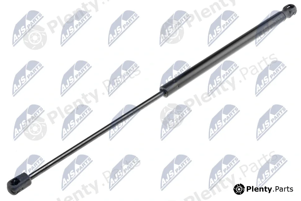 NTY AE-AR-013 — Gas Spring, boot/cargo area