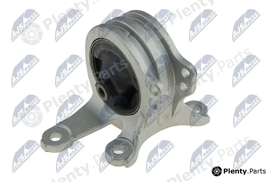 NTY ZPS-MS-101 — Mounting, engine