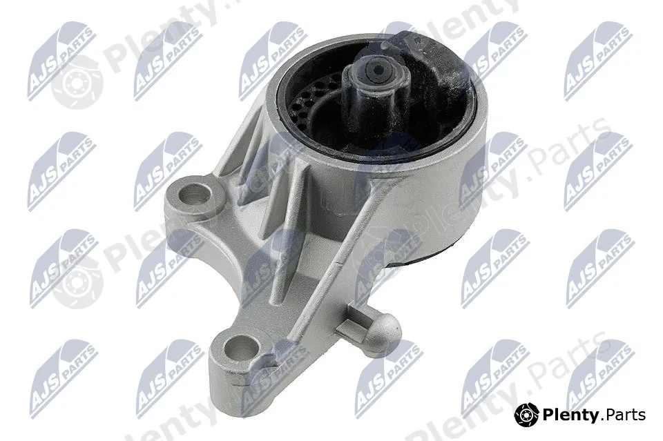NTY ZPS-PL-036 — Mounting, engine