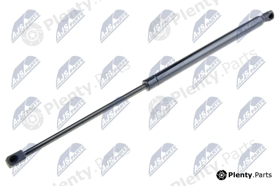 NTY AE-BM-056 — Gas Spring, boot/cargo area