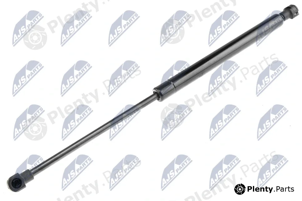 NTY AE-AR-022 — Gas Spring, boot/cargo area