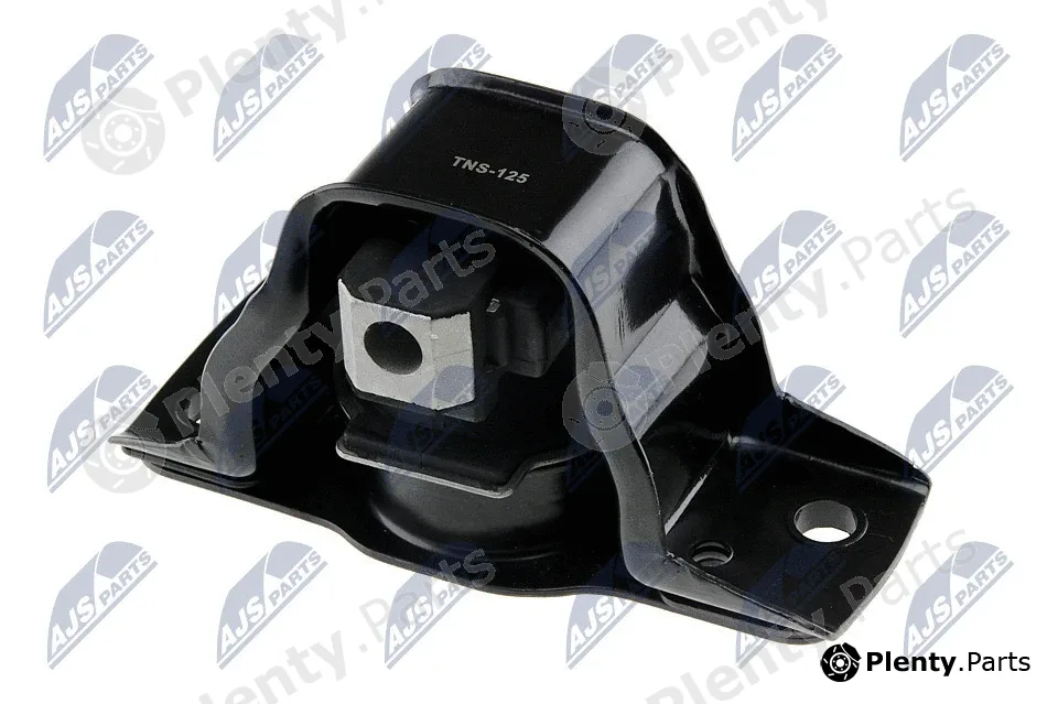NTY ZPS-NS-125 — Mounting, engine
