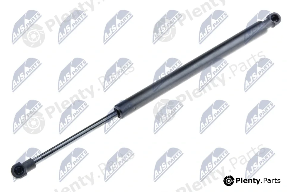 NTY AE-BM-015 — Gas Spring, boot/cargo area