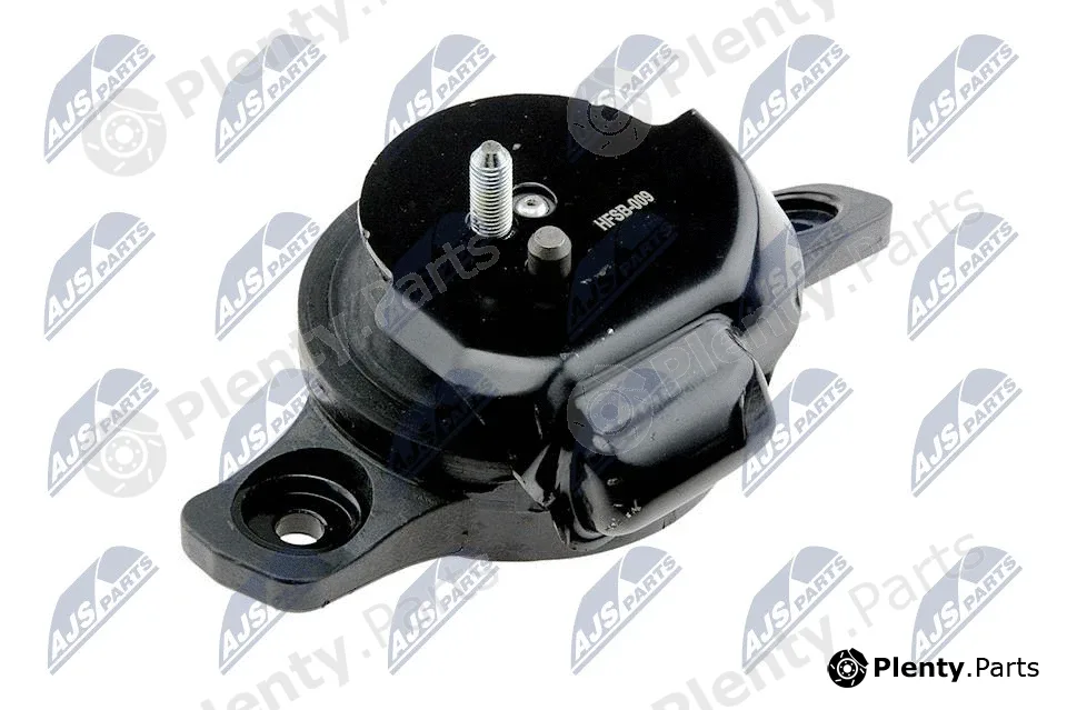 NTY ZPS-SB-009 — Mounting, engine
