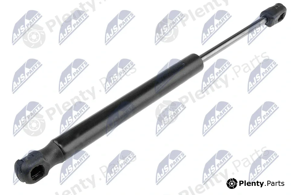NTY AE-CH-005 — Gas Spring, boot/cargo area