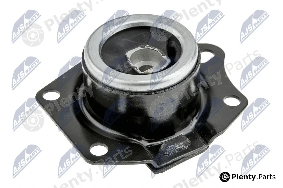 NTY ZPS-CH-009 — Mounting, engine