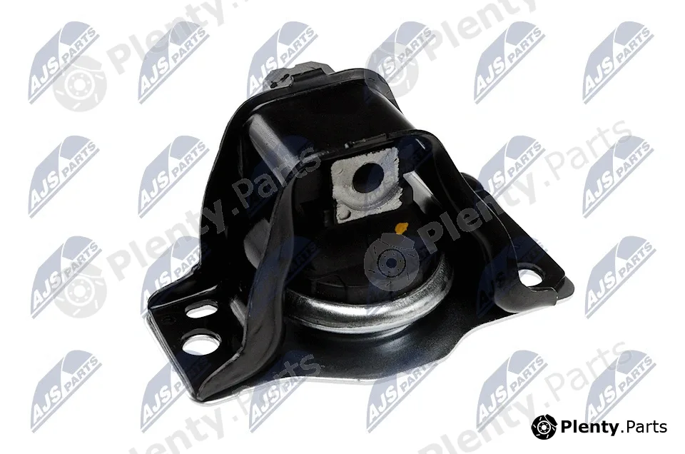 NTY ZPS-RE-011 — Mounting, engine