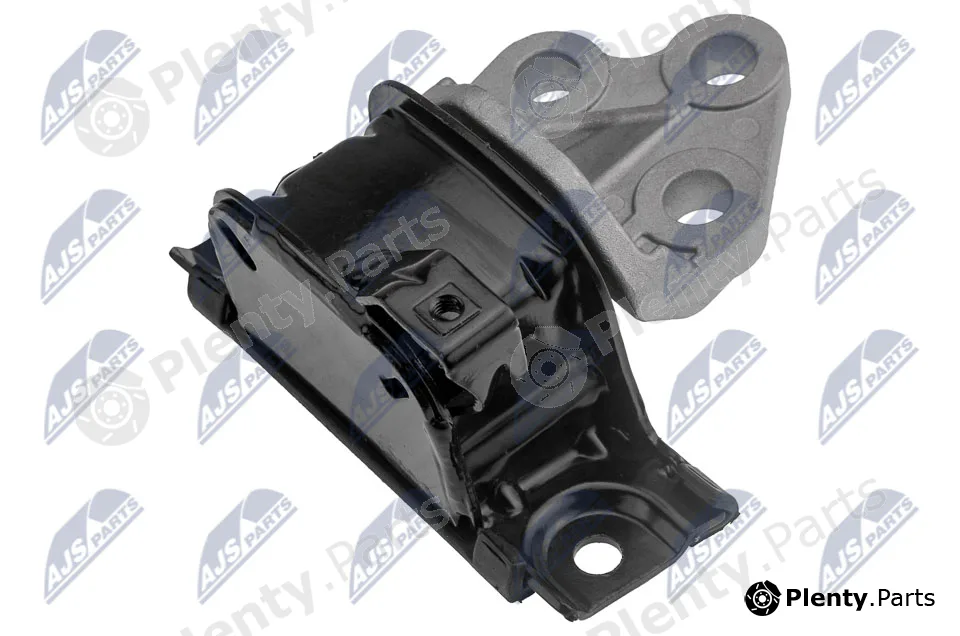 NTY ZPS-PL-089 — Mounting, engine