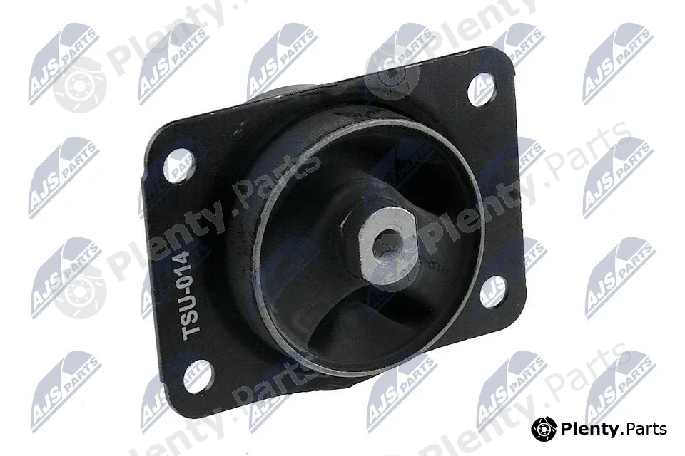 NTY ZPS-SU-014 — Mounting, engine