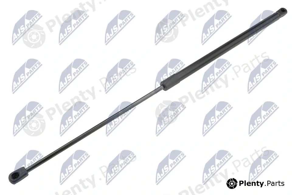 NTY AE-FT-042 — Gas Spring, boot/cargo area