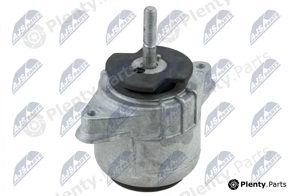 NTY ZPS-PS-003 — Mounting, engine
