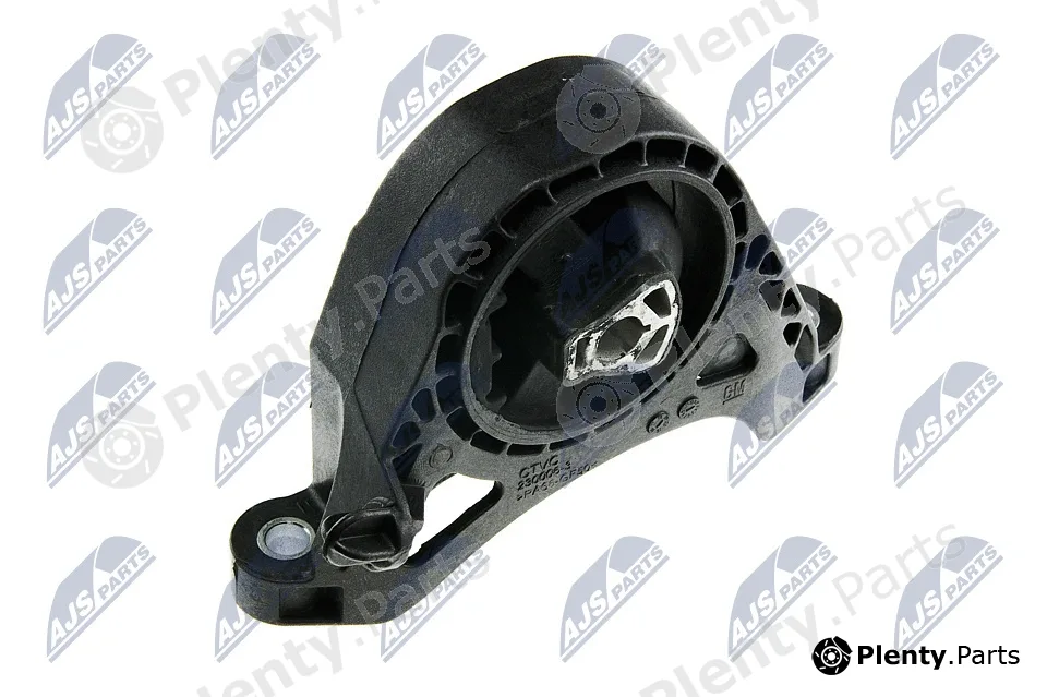 NTY ZPS-PL-011 — Mounting, engine