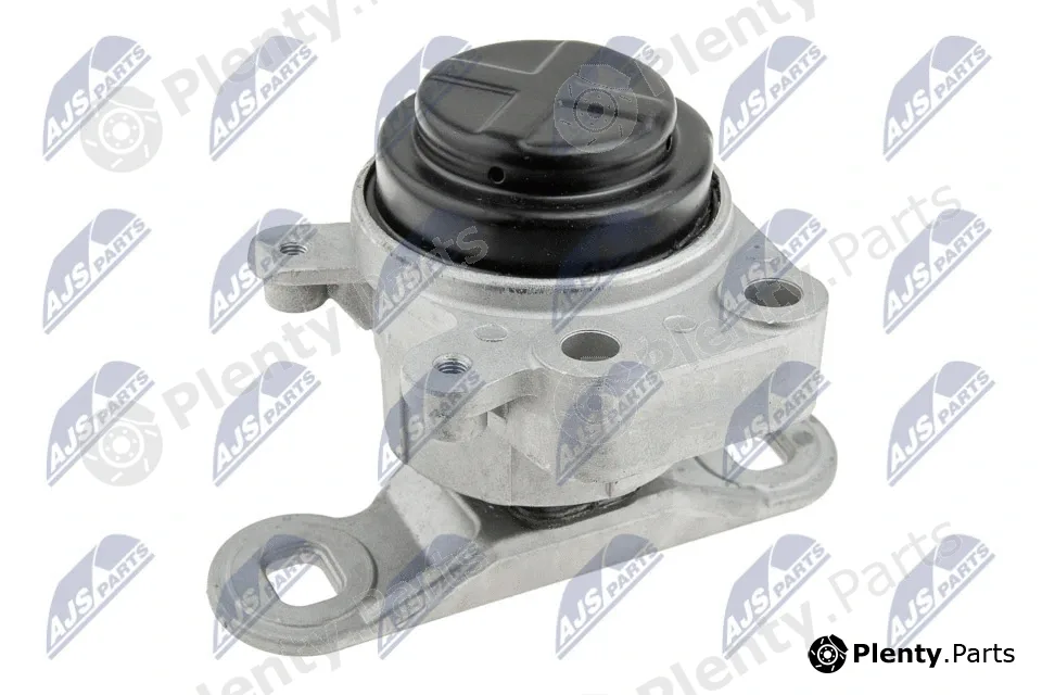 NTY ZPS-FR-044 — Mounting, engine