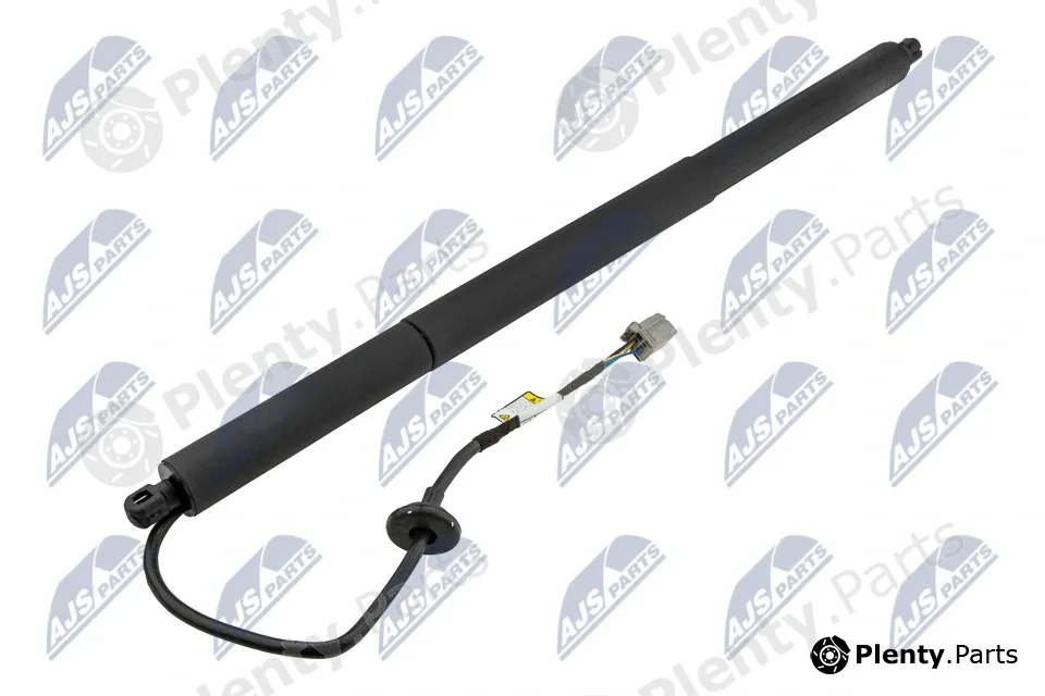 NTY AE-CH-048 — Gas Spring, boot/cargo area