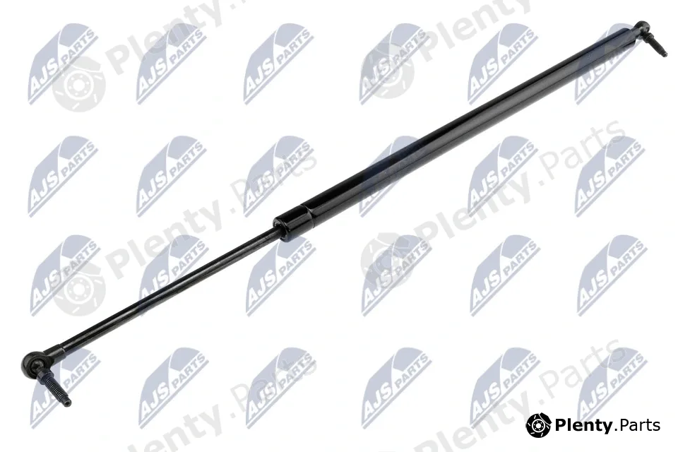 NTY AE-CH-006 — Gas Spring, boot/cargo area