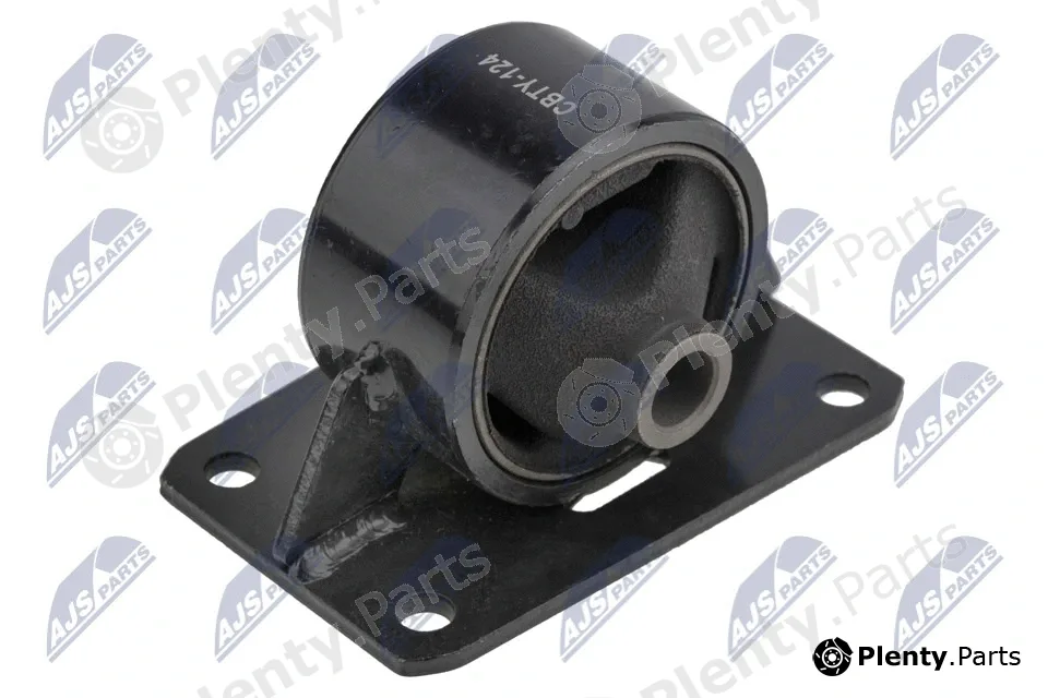 NTY ZPS-TY-124 — Mounting, engine